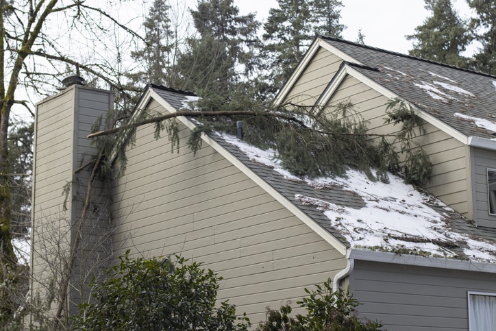 Spot Roof Damage After a Storm