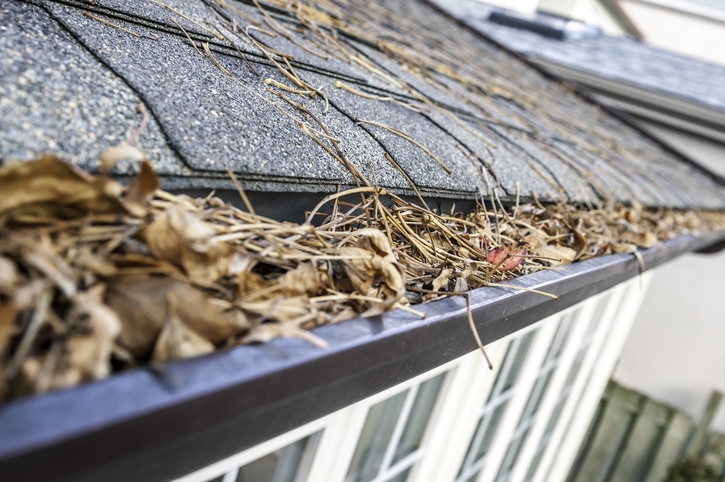 5 signs your gutters are failing