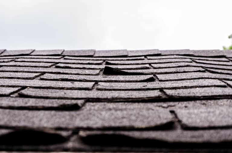 Granules on Roof Shingles