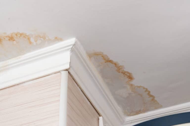 How to Prevent Water Damage Around Your Home